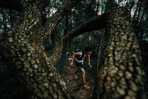 BIB: 
                            <button type="button" onclick="openModal(25692266)" class="btn btn-primary btn-sm float-right btn-popup" data-toggle="modal" data-target=".modal-high-quality">
                        <i class="fas fa-shopping-cart"></i> Add to Cart
                    </button>
                                            <button type="button" onclick="isThisMe(25692266, true)" class="btn btn-success btn-sm float-right btn-popup btn-isme hidden" data-toggle="tooltip" data-placement="bottom" title="นี่คือรูปของคุณใช่ไหม คลิกที่นี่เพื่อเอาเข้าอัลบั้ม">
                        <i class="fas fa-plus"></i> Add to album
                    </button>
                    <button type="button" onclick="isThisMe(25692266, false)" class="btn btn-warning btn-sm float-right btn-popup btn-isnotme hidden">
                        <i class="fas fa-ban"></i> Remove from album
                    </button>